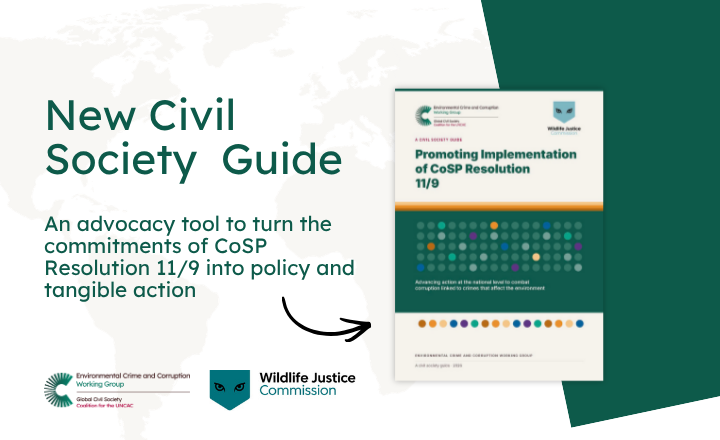 Promoting implementation of Resolution 11/9