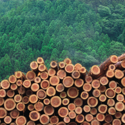Environmental Crime and Corruption