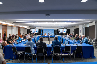 Organized crime, corruption and human rights: advances and challenges for the Inter-American Human Rights System