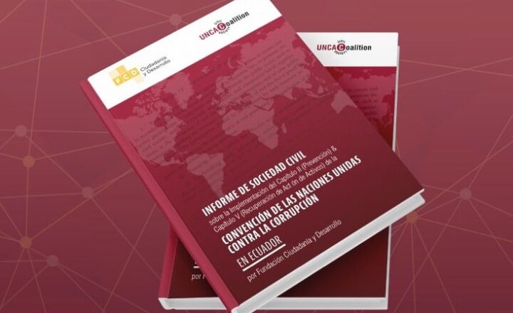 Call for Applications for Support to Write a Civil Society Parallel Report