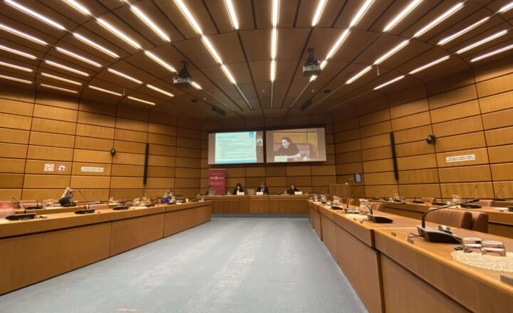 How can we tackle Grand Corruption? A summary of our IRG side event