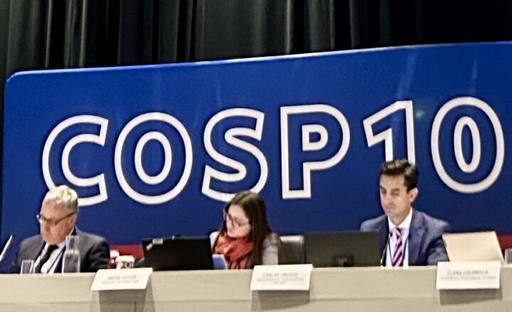 Victims of Corruption at CoSP10: Exploring their Challenges and their Path to Reparations