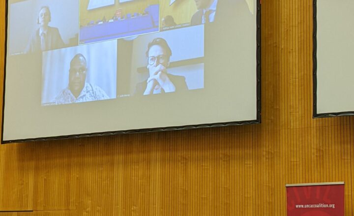 Approaching the end of the UNCAC IRM’s first phase: Opportunities to advance the anti-corruption agenda