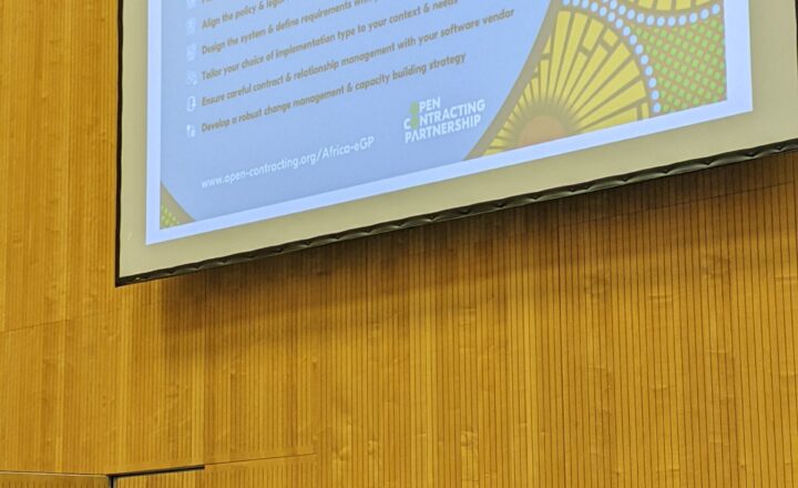 Strengthening integrity in public procurement through the UNCAC – insights from France and global civic experts