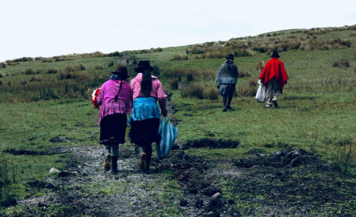 UN General Comment No. 26/2022: Positioning land corruption as a human rights issue