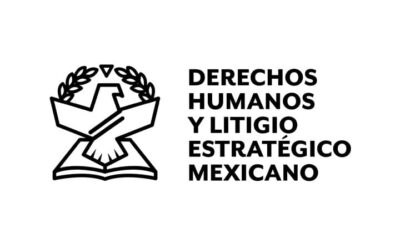 Derechos Humanos y Litigio Estratégico Mexicano (DLM)
