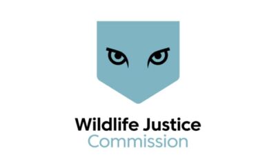 Wildlife Justice Commission
