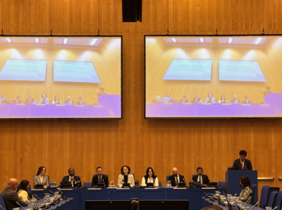 Strengthening independent oversight and enforcement of CoSP resolution 11/7 on political finance