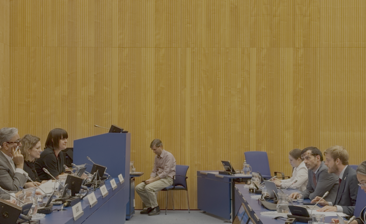 Yearly NGO briefing on the margins of the 17th IRG