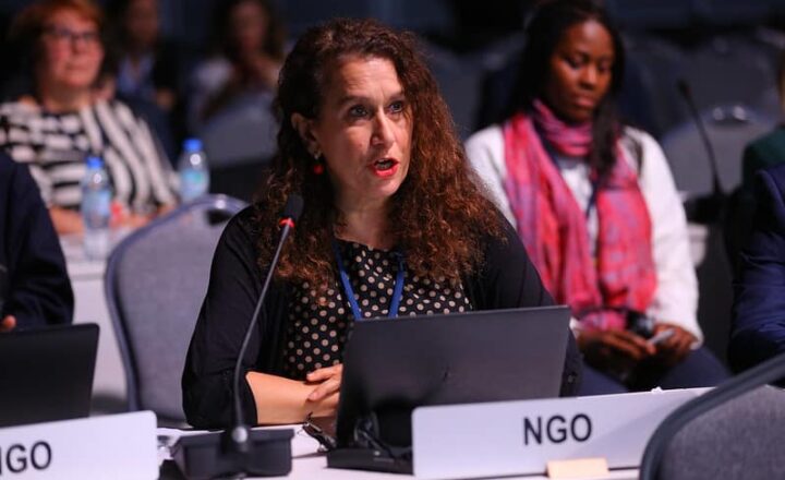 Gillian Dell speaking in plenary