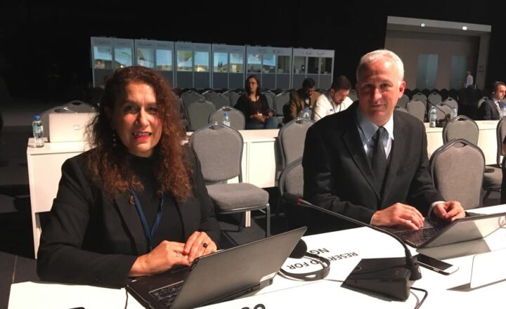 Gillian Dell and David Banisar in plenary