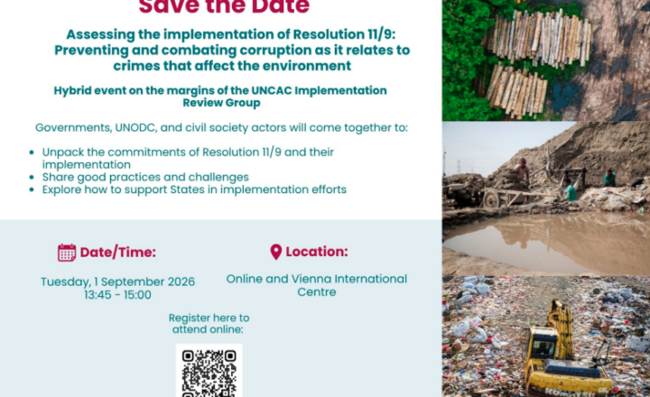 Assessing the implementation of Resolution 11/9