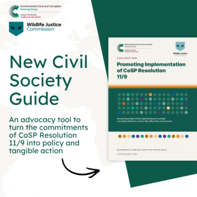 A new civil society guide – “Promoting implementation of Resolution 11/9: Preventing and combating corruption as it relates to crimes that affect the environment”