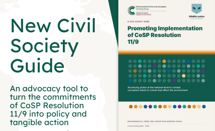 A new civil society guide – “Promoting implementation of Resolution 11/9: Preventing and combating corruption as it relates to crimes that affect the environment”