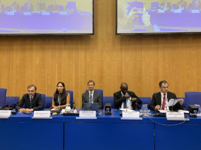 Advancing action at the national and global level to tackle corruption and crimes that affect the environment: Promoting Resolution 11/9
