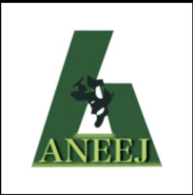 African Network for Environment and Economic Justice (ANEEJ)